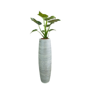 Weisse Vase mit Streifen Muster in einem Anwendungsbeispiel