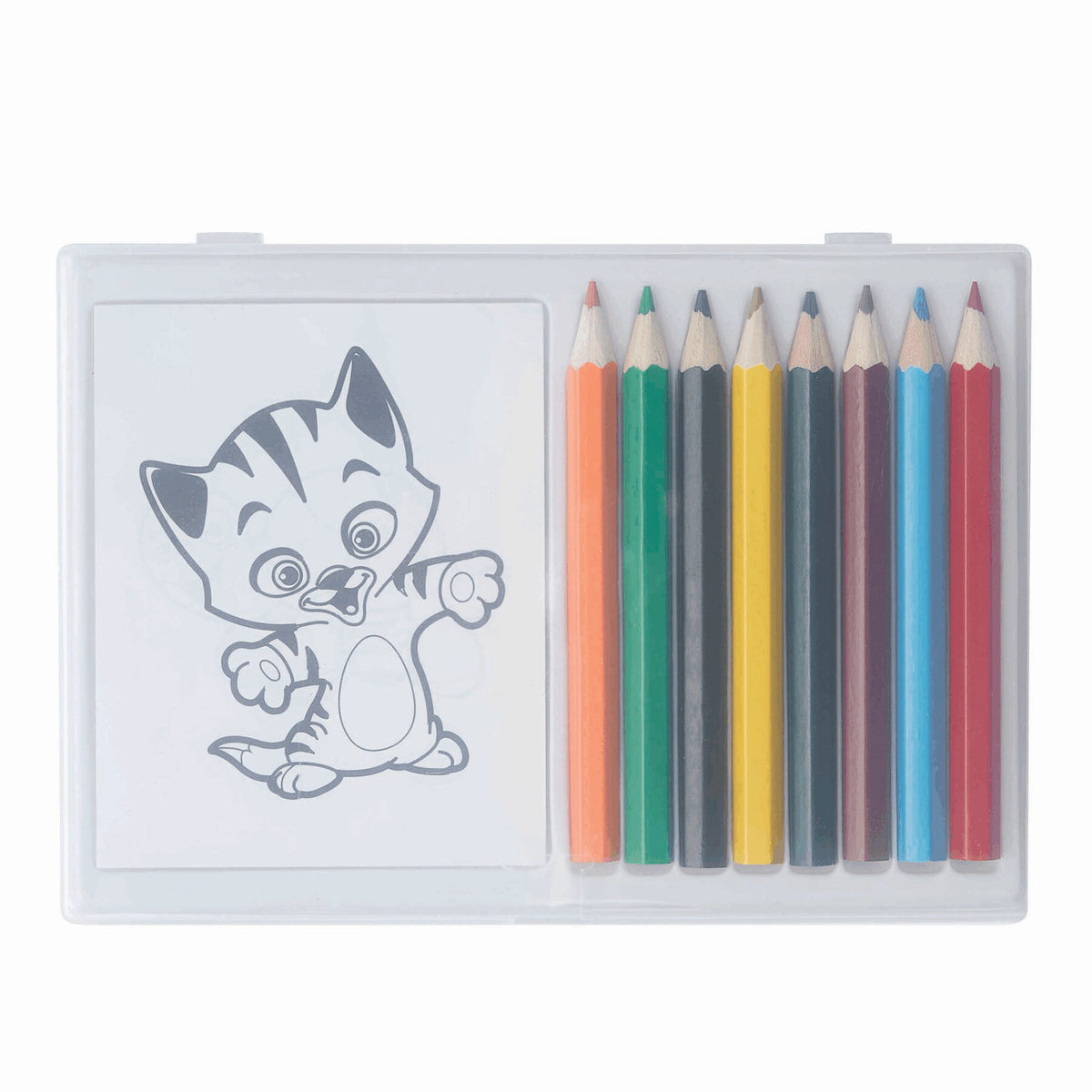 Set de peinture CRAZY ANIMALS