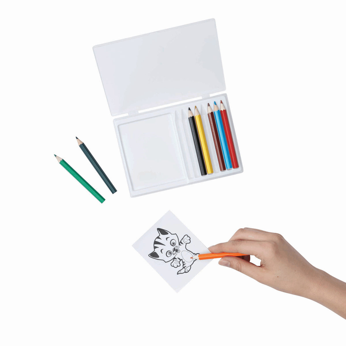 Set de peinture CRAZY ANIMALS