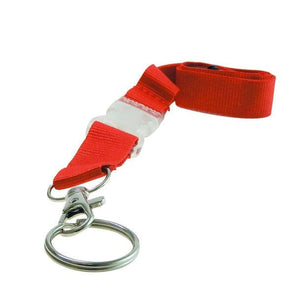 Rotes, trennbares SchlĂĽsselband mit silbernem Karabiner