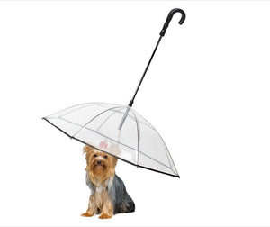 Transparenter Schirm mit Leine fĂĽr Hund in einem Anwendungsbeispiel