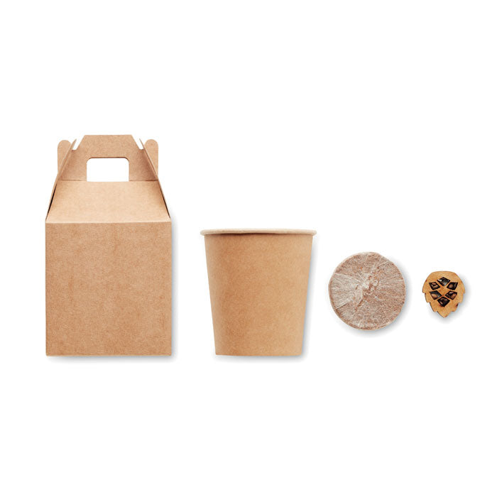 Pine Seed Set