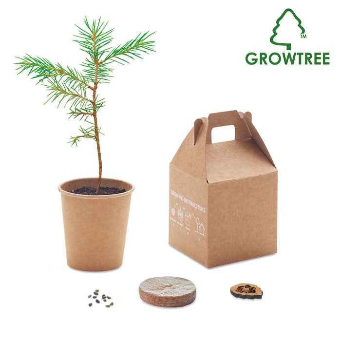 Pine Seed Set