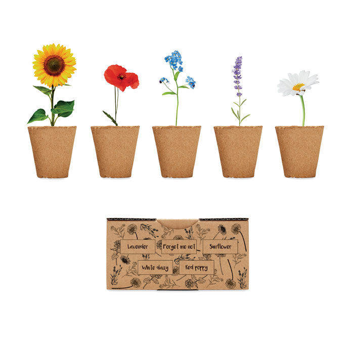 Summer Flower Seed Set