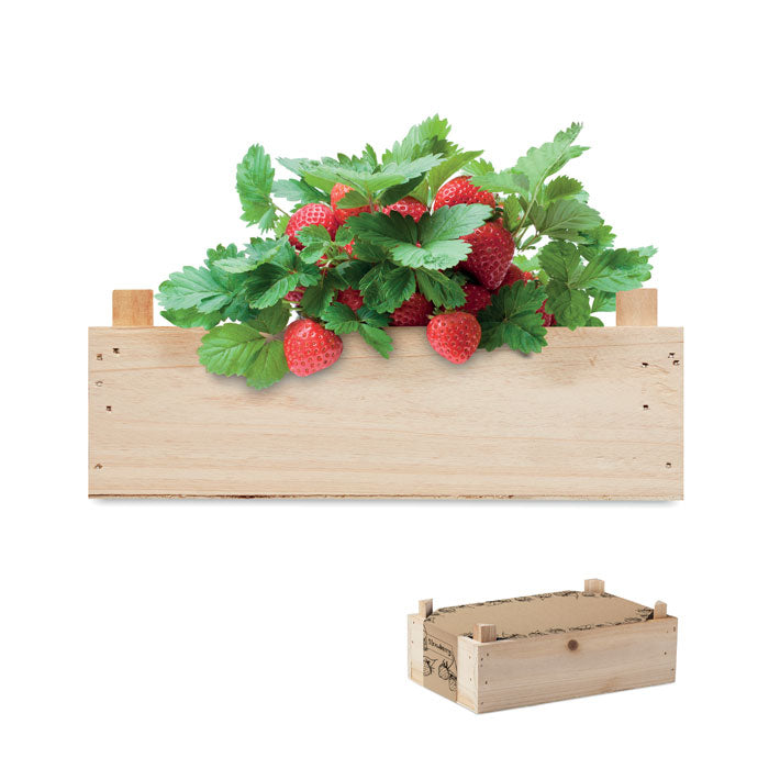 Strawberry Seed Set