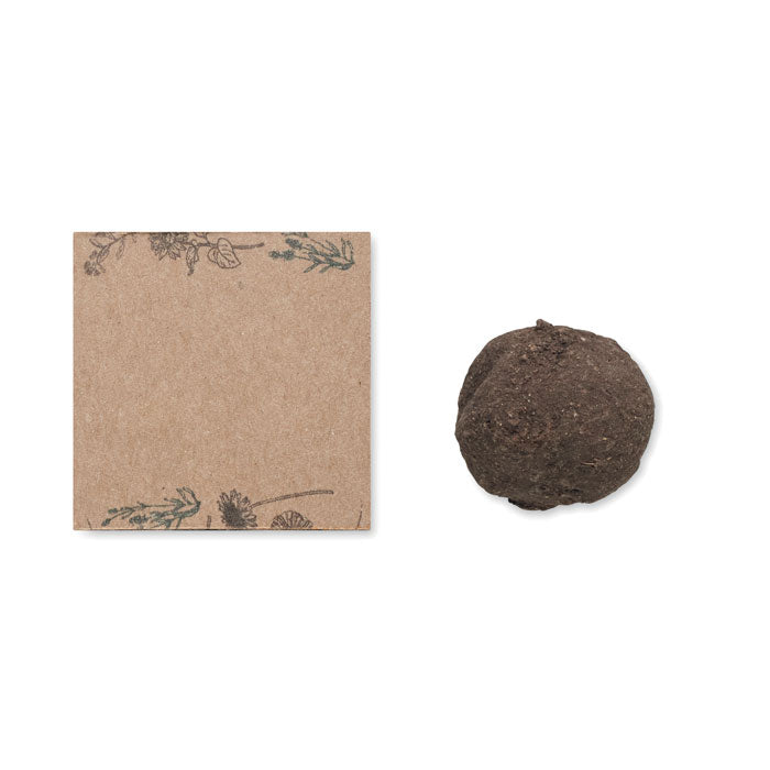 Wildflower Seed Set
