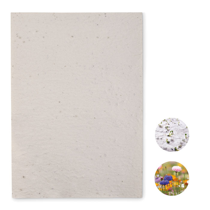 A4 Wildflower Seed Paper