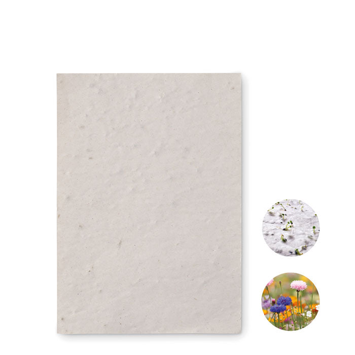 DIN A6 Wildflower Seed Paper