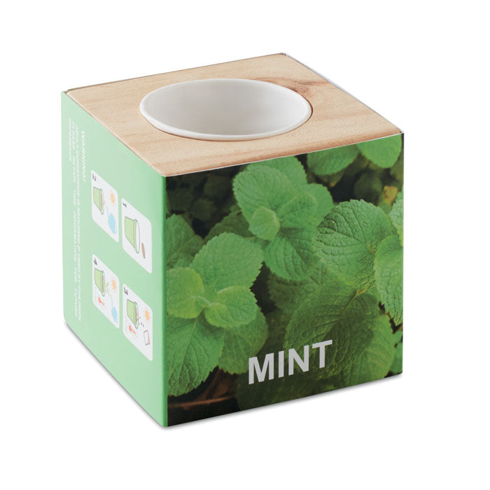 Kit de plantation d'herbes aromatiques « Menthe »