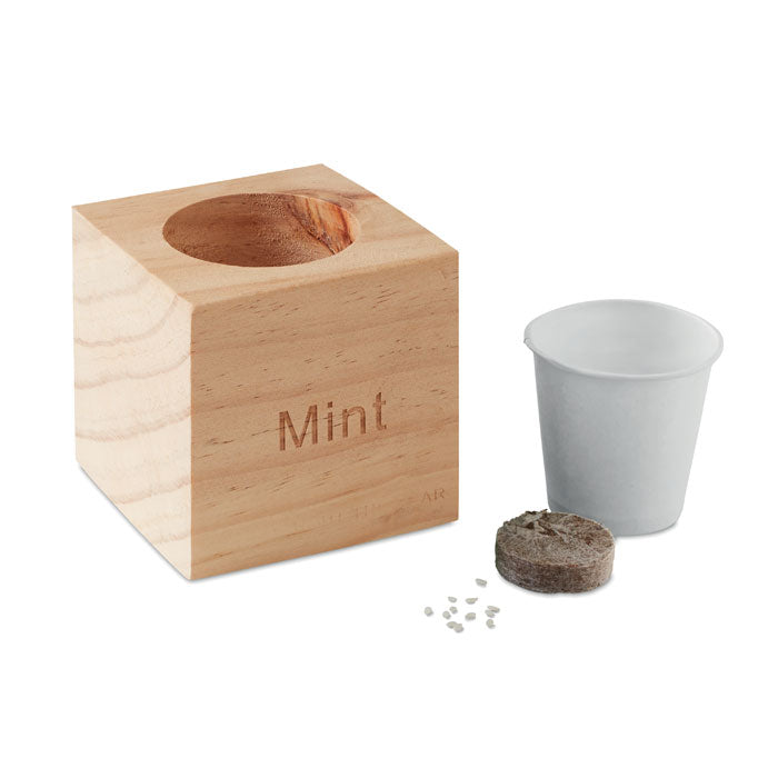 Kit de plantation d'herbes aromatiques « Menthe »