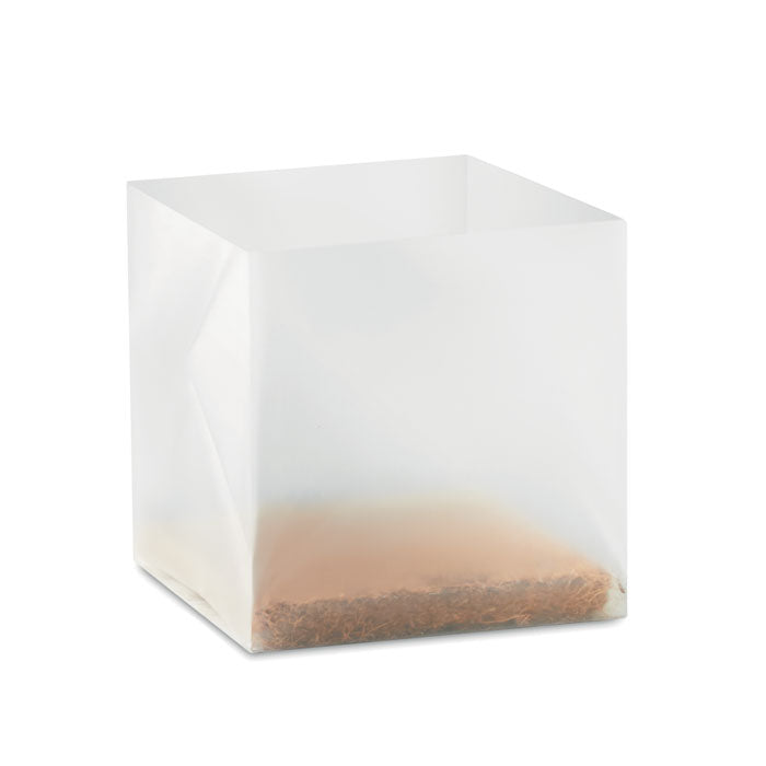 Kit de plantation « Basilic »