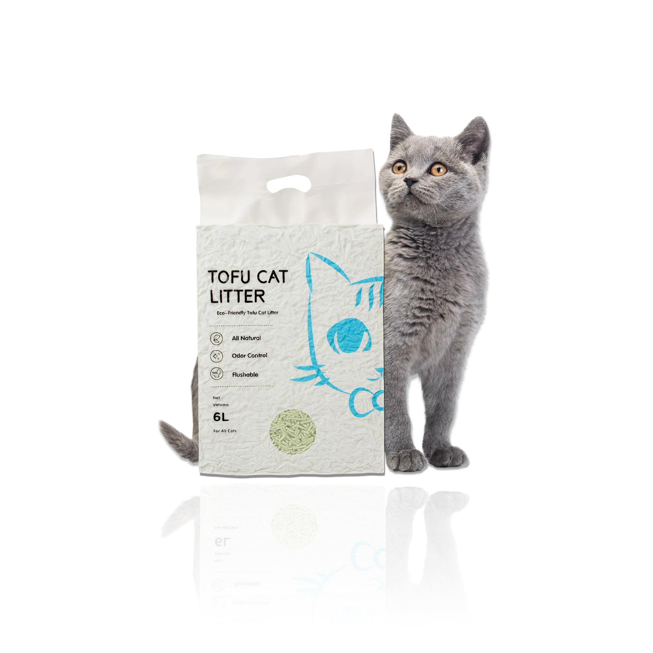 kat with tofu litter box