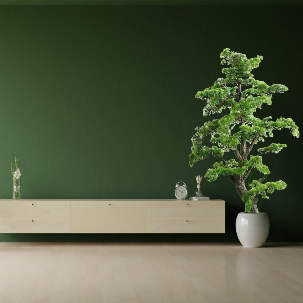 Künstlicher, detaillierter Bonsai mit weissem Topf vor einer grünen Wand mit Regal daneben
