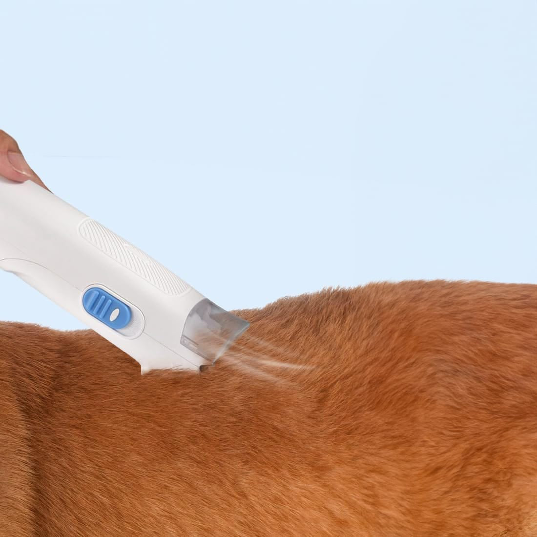Weisse Hundeschermaschine mit weissem Tierhaar-Staubsauger in einem Anwendungsbeispiel mit einem Hund