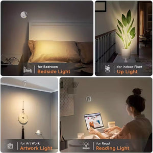 Verschiedene Anwendungsbeispiele des LED Spot-Lights